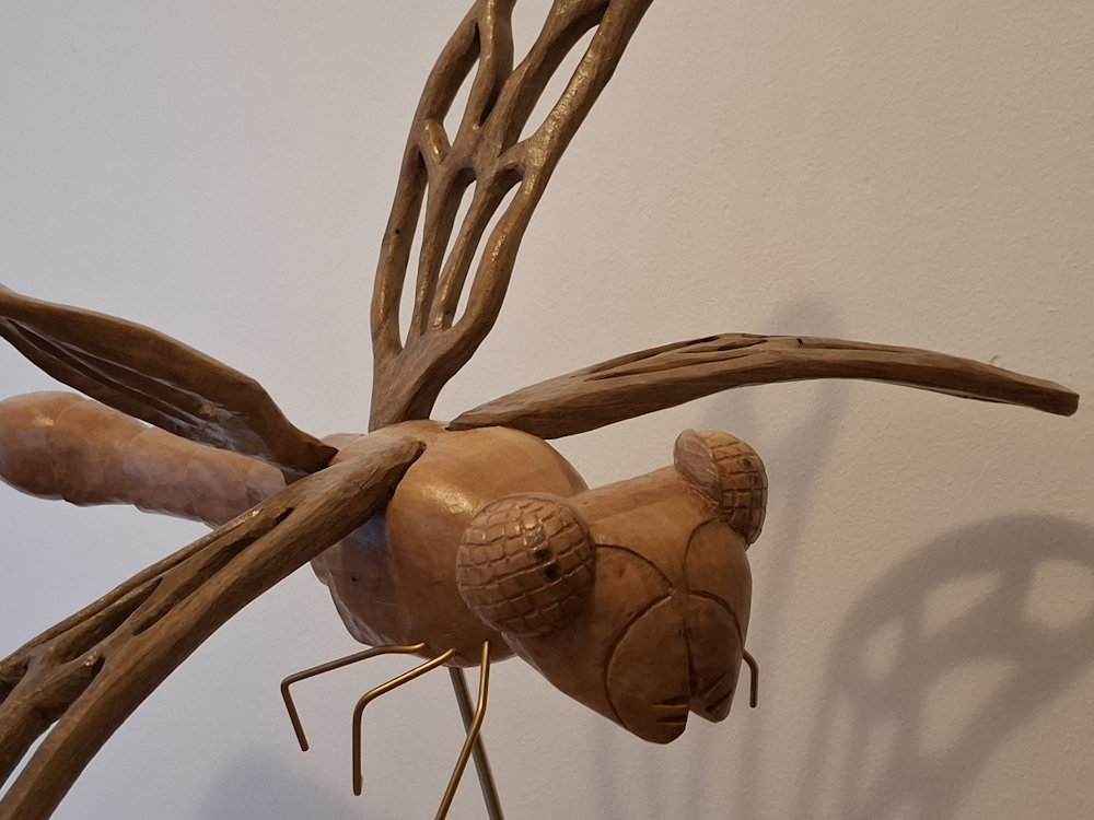 Les quatre L de libellule